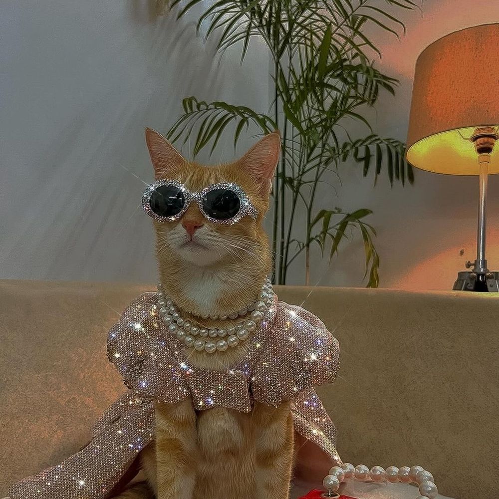 You’re watching the education channel
