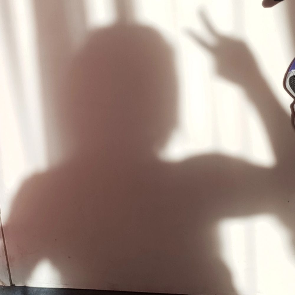 Feña
