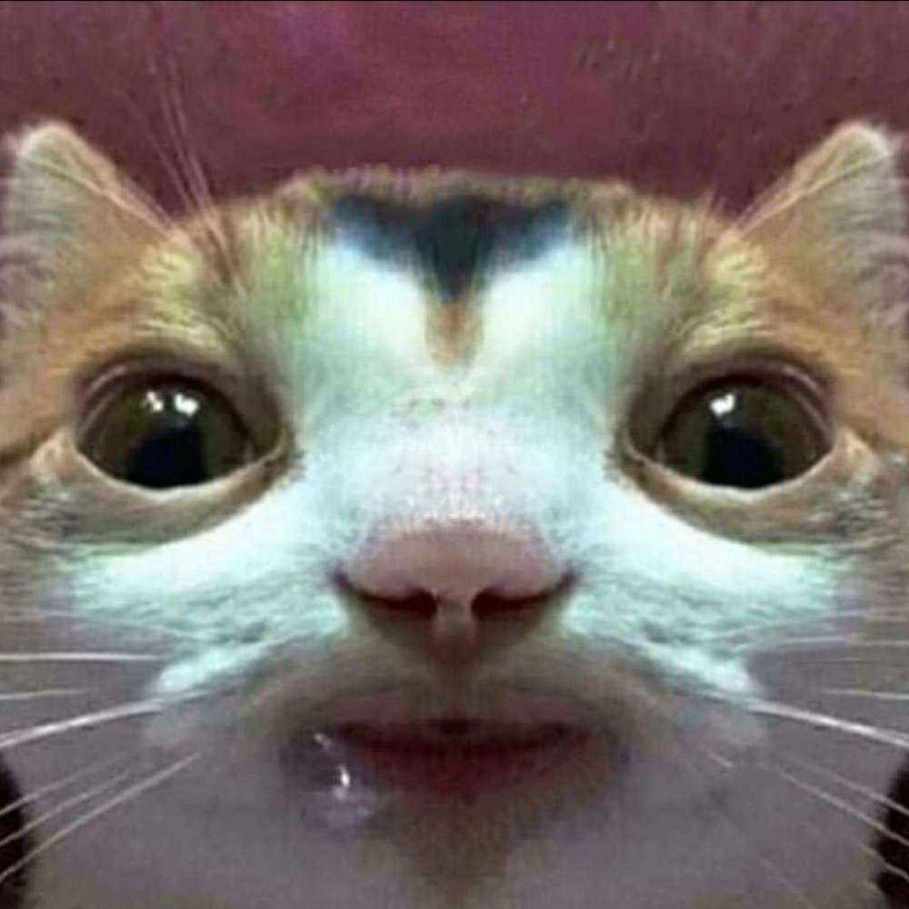 Felix🔞🖤