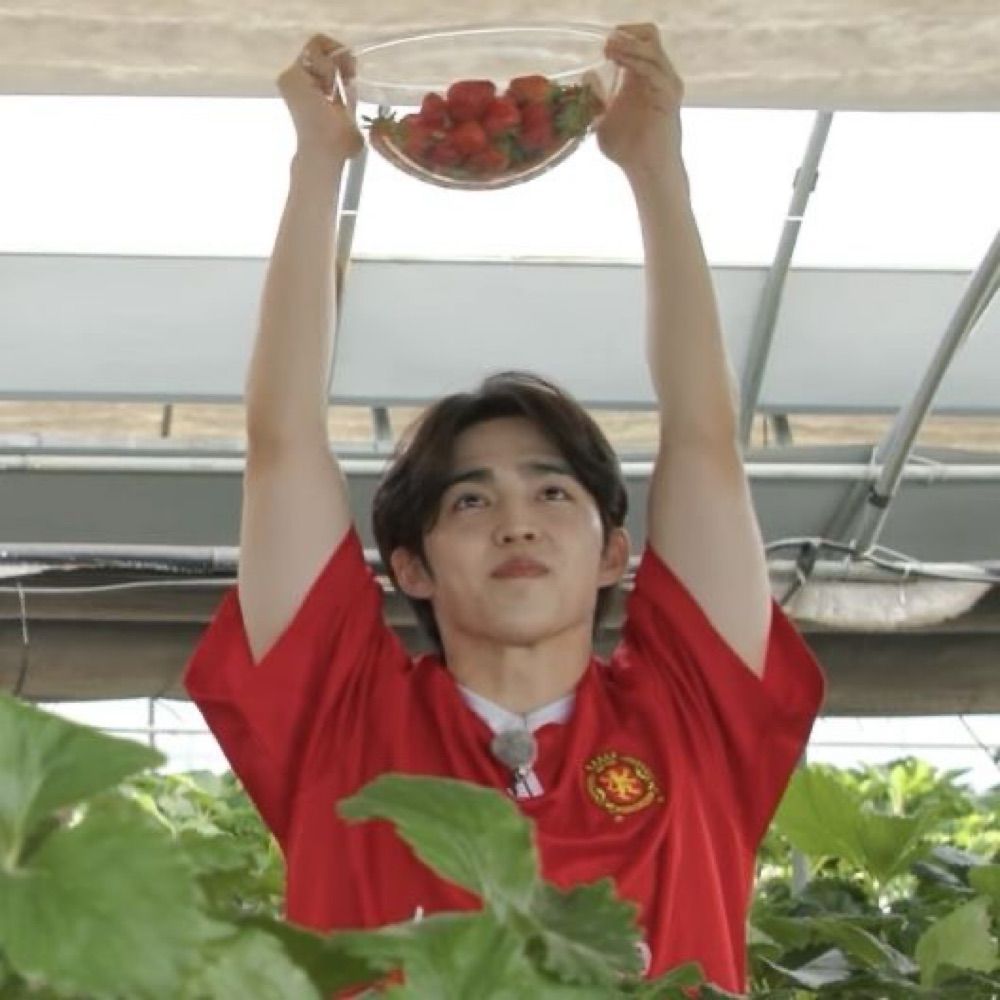 nico 🍉