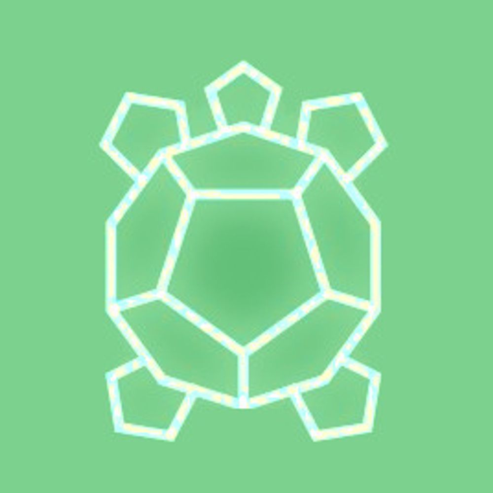 Turtle Journeys