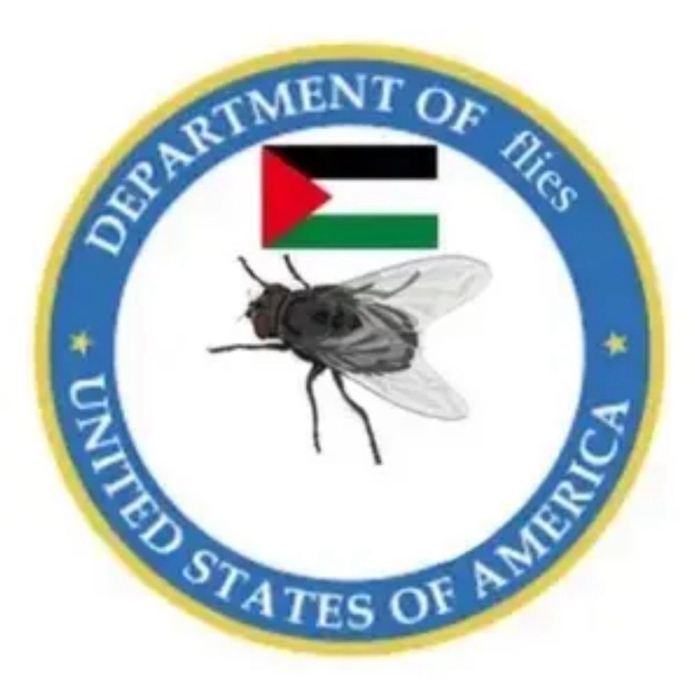 the department of flies
