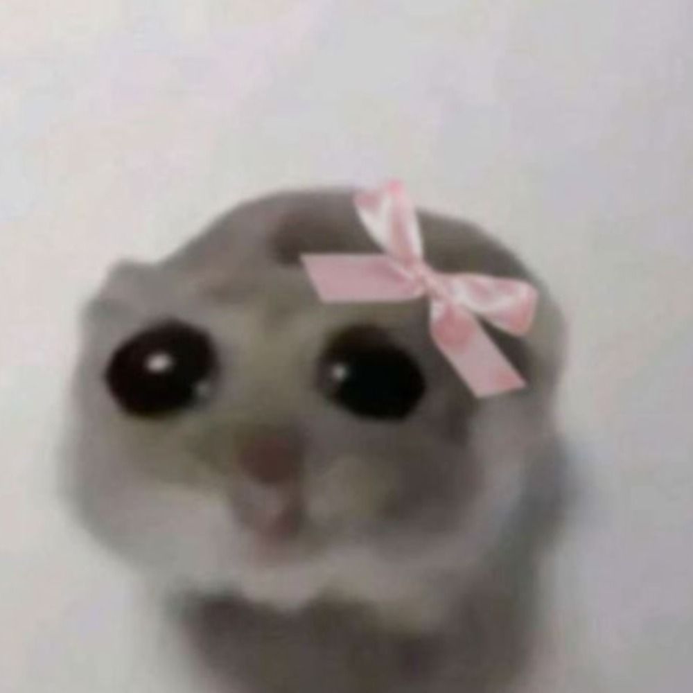 hampster