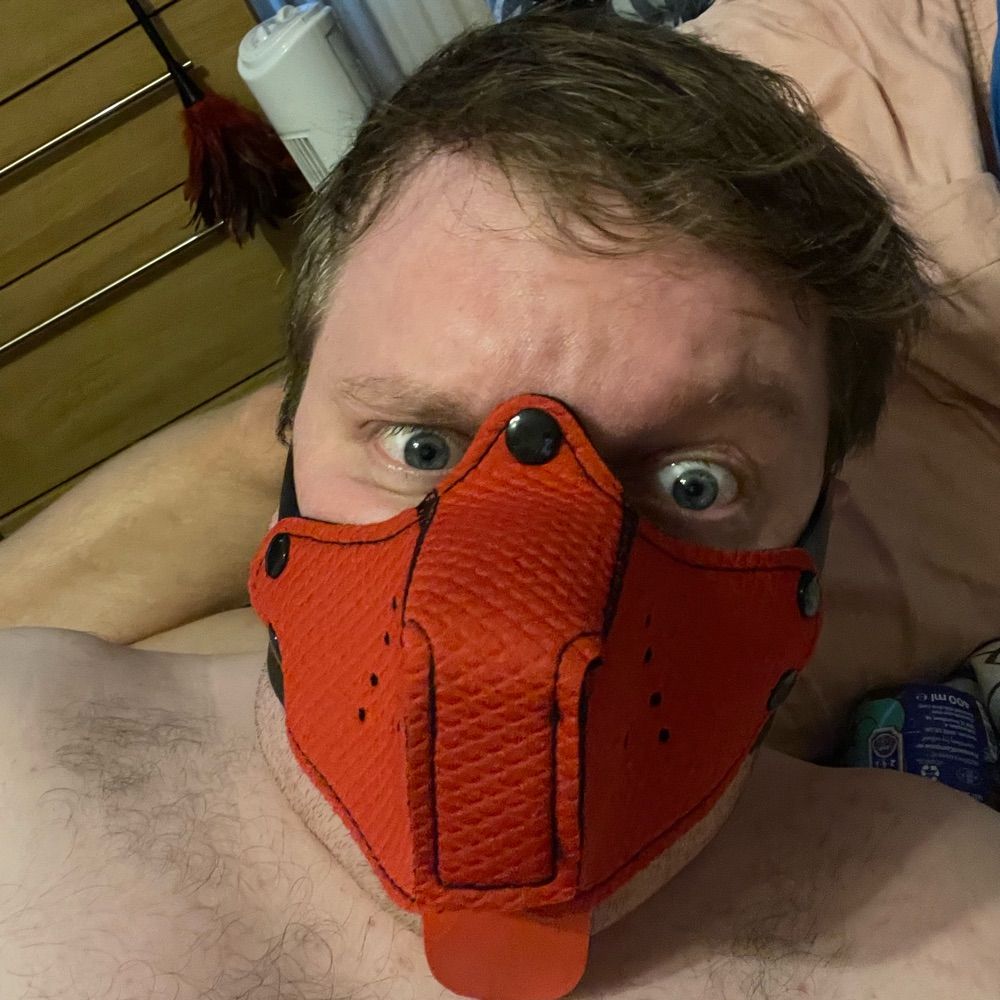 Pup Jakey