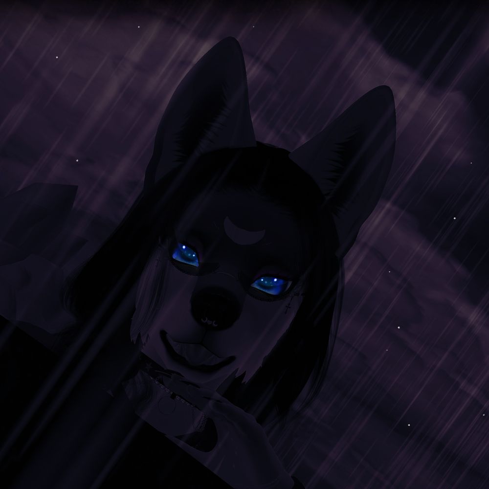✧｡ 𝓜𝓪𝓻𝓵𝓮𝔂 ｡✧