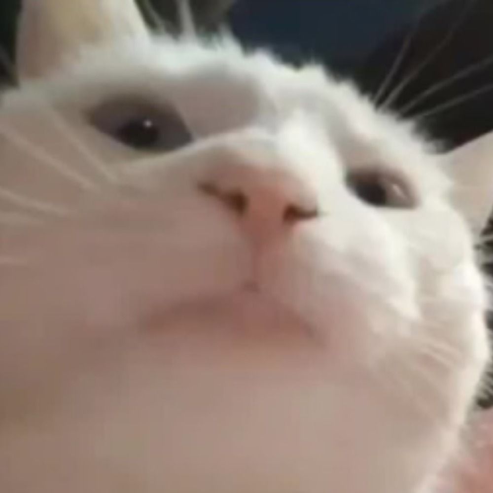 H1ck