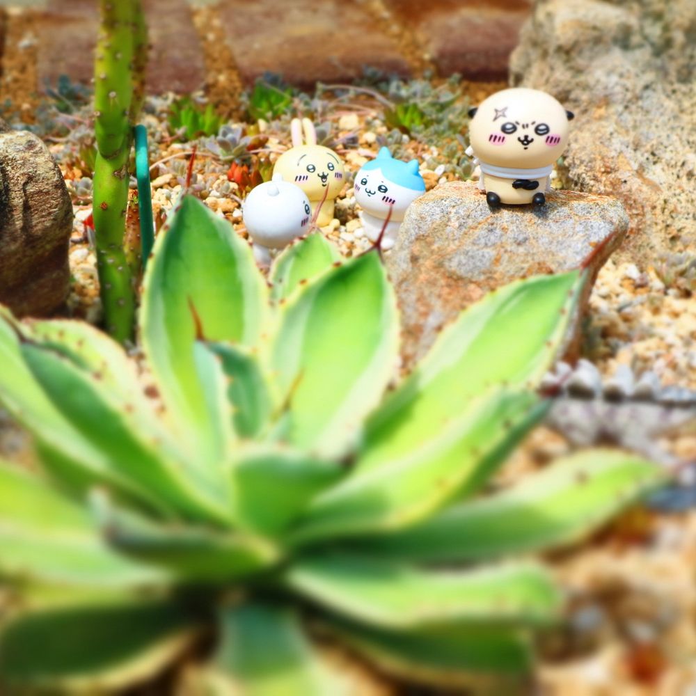 カナグ