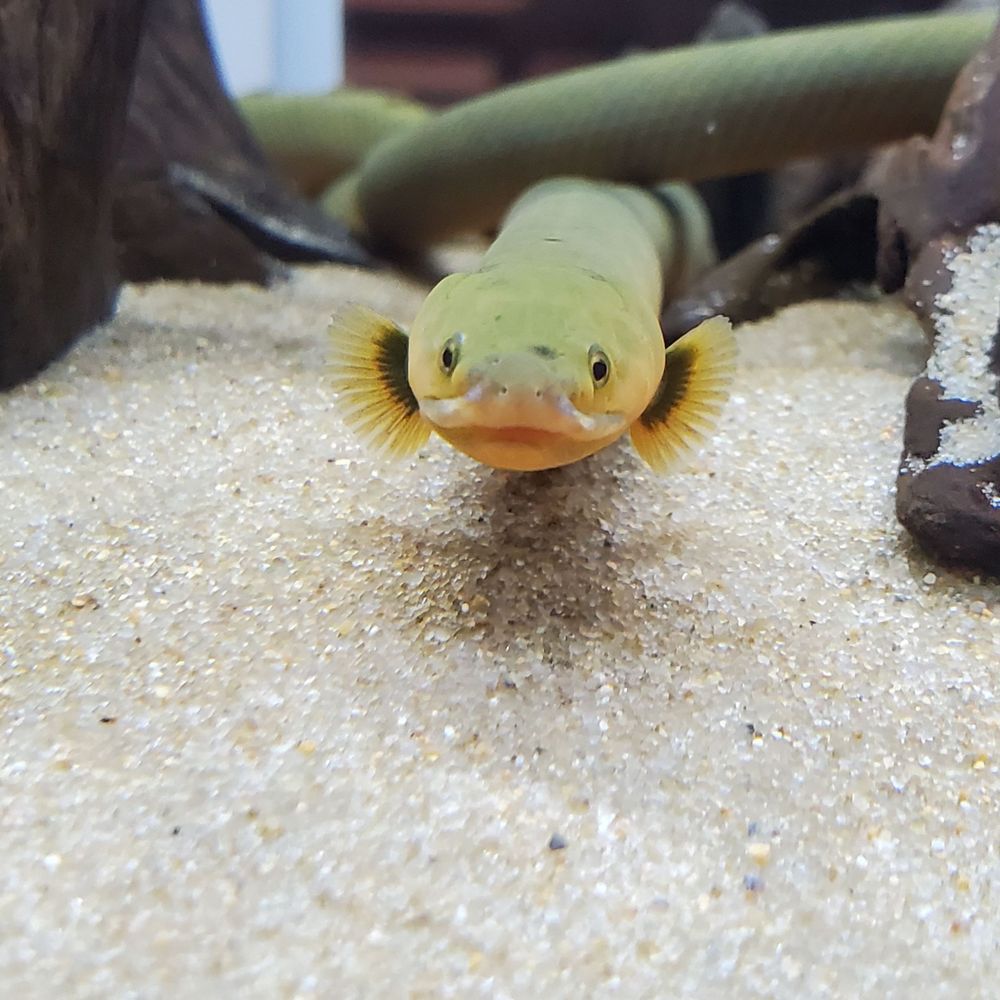 のきあ