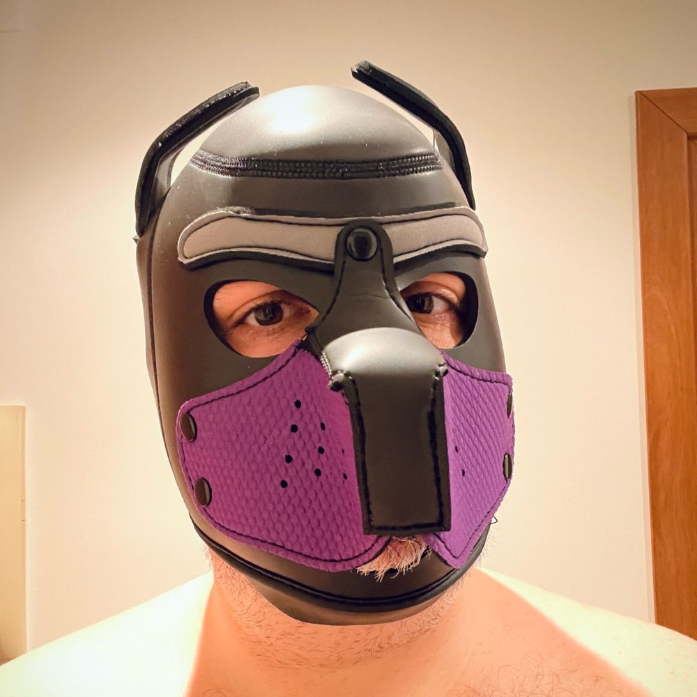 Talon pup