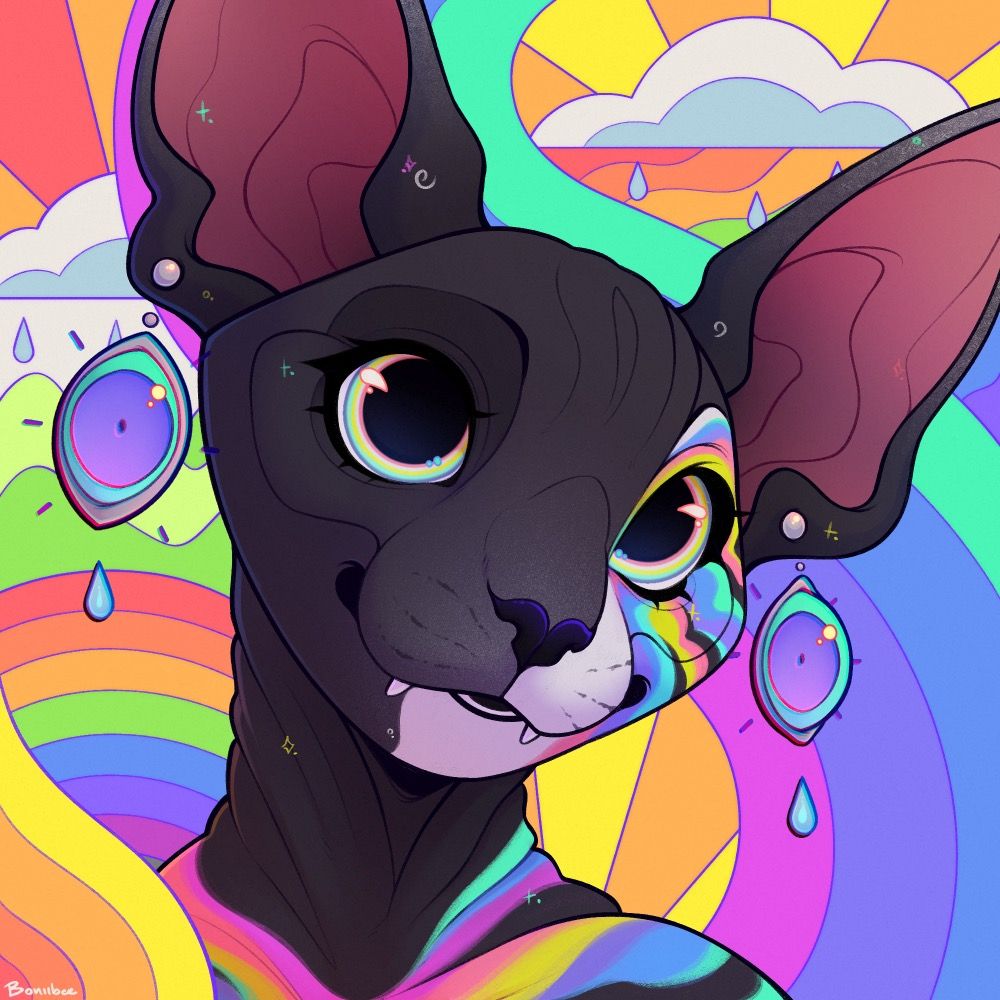 felix 🍭🌈