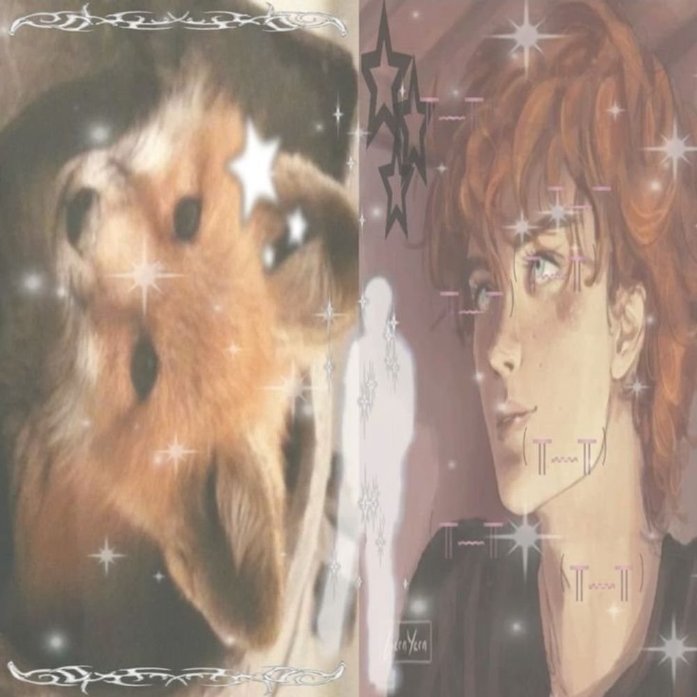 爱| ᴡɪꜰᴇʏ