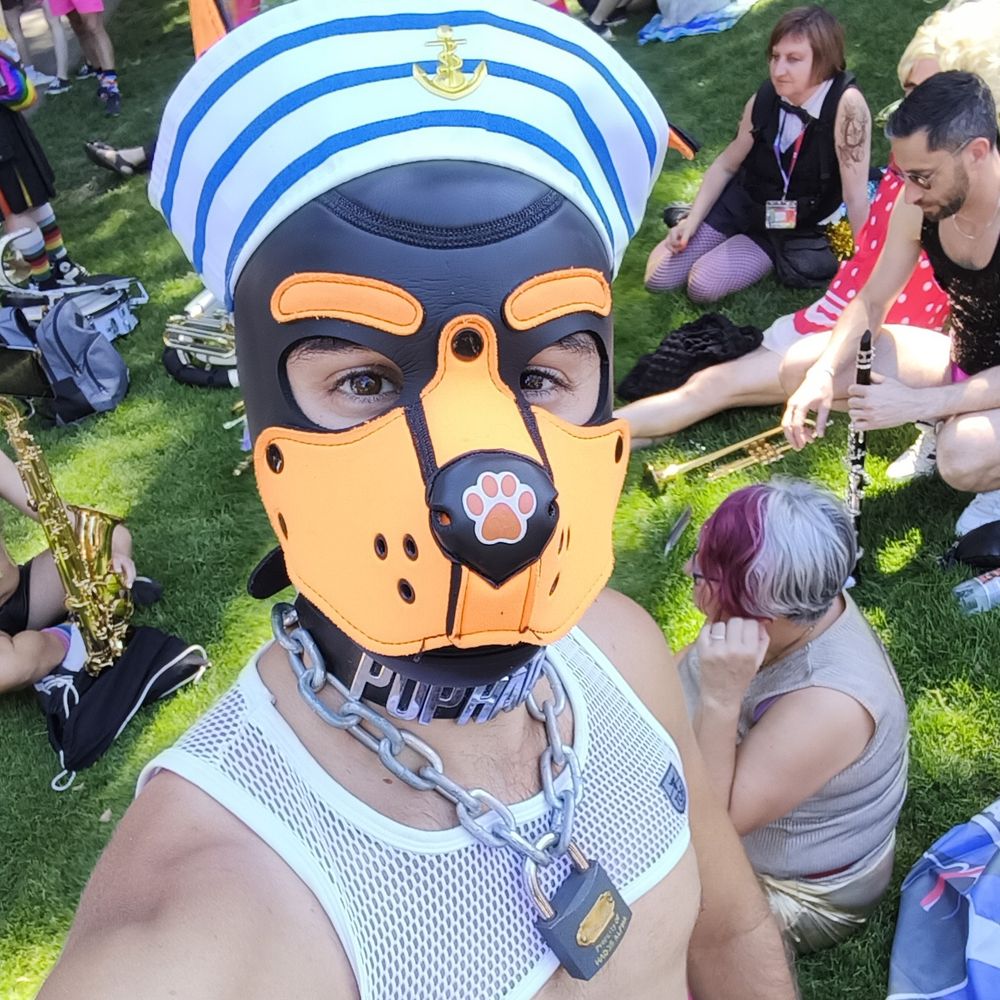 French Pup Hadès