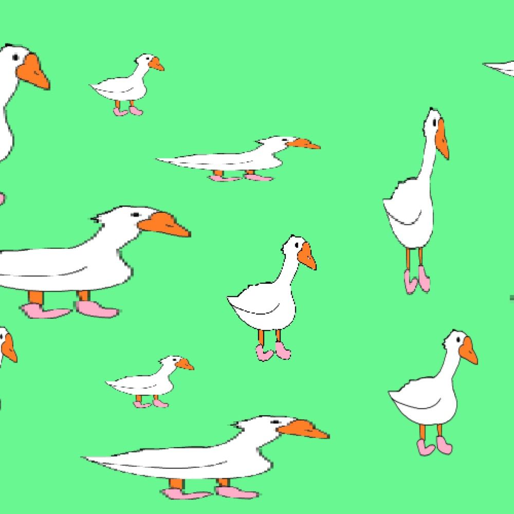 Goose with Socks