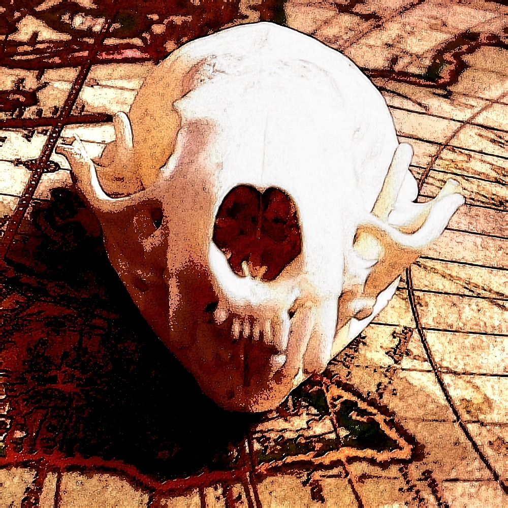 tales were first told with a tune