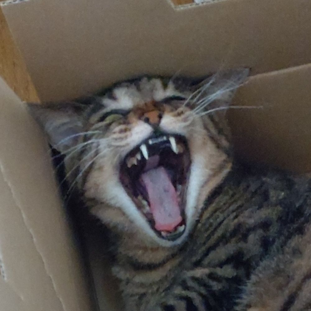 ゆぴたん