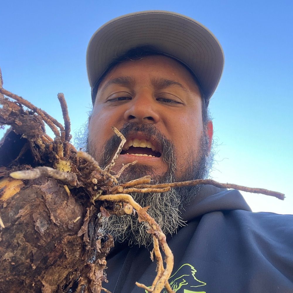 Rmer the FaRmer (not a farmer)