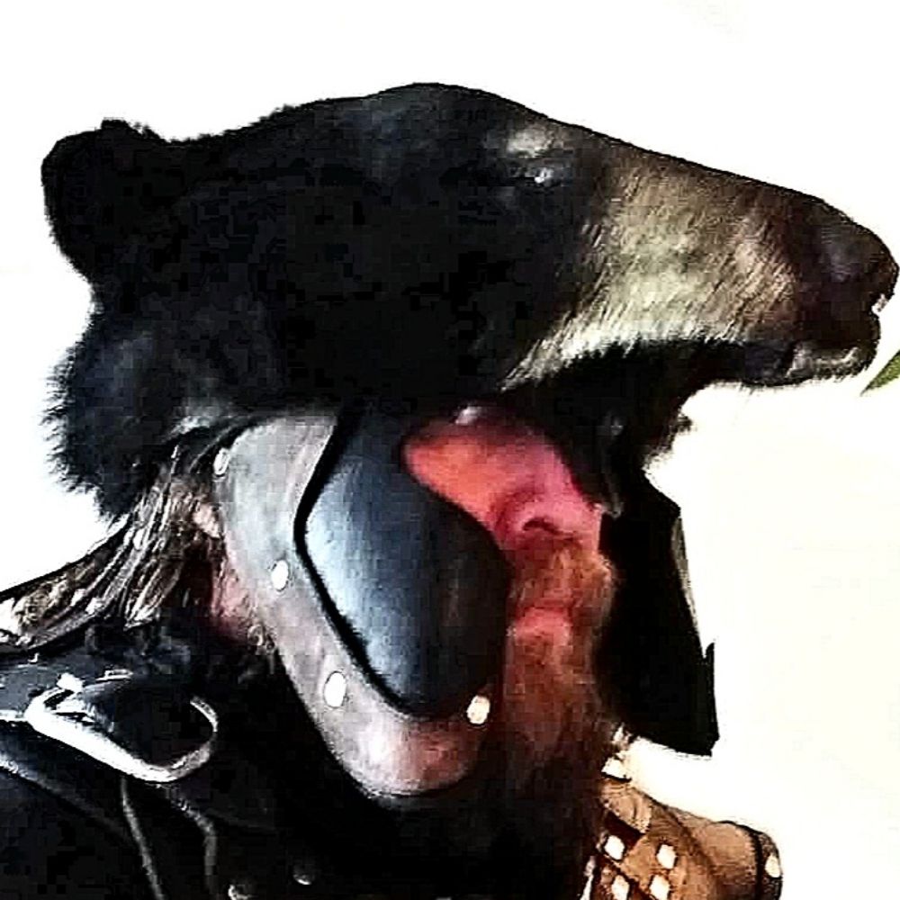 Bear