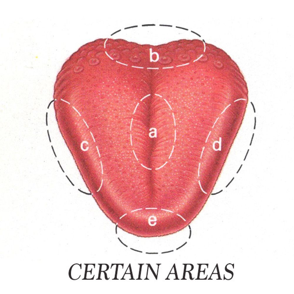 newfleshlonglive.bsky.social