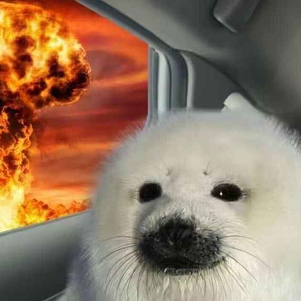 Paul_0w0 (🔜furry_est)
