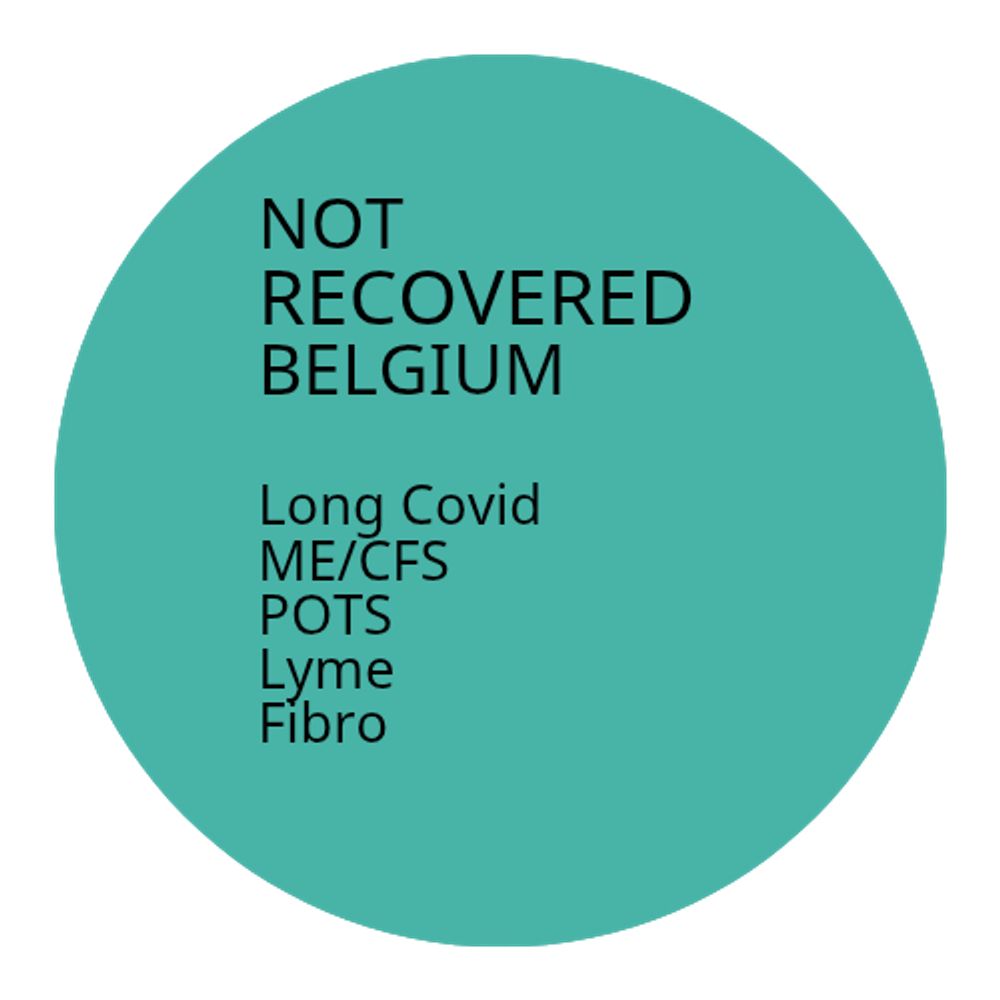 Not Recovered Belgium