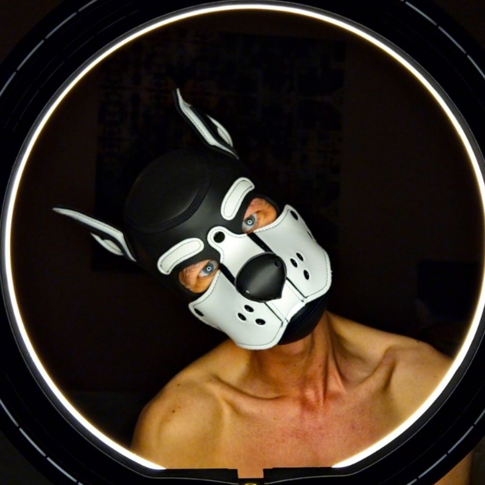 Pup Jack