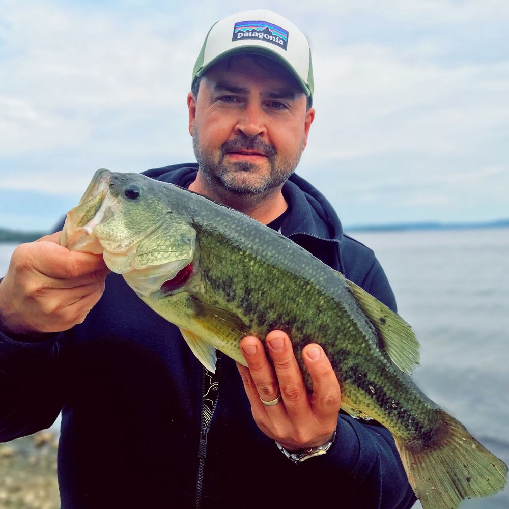 MSPBass