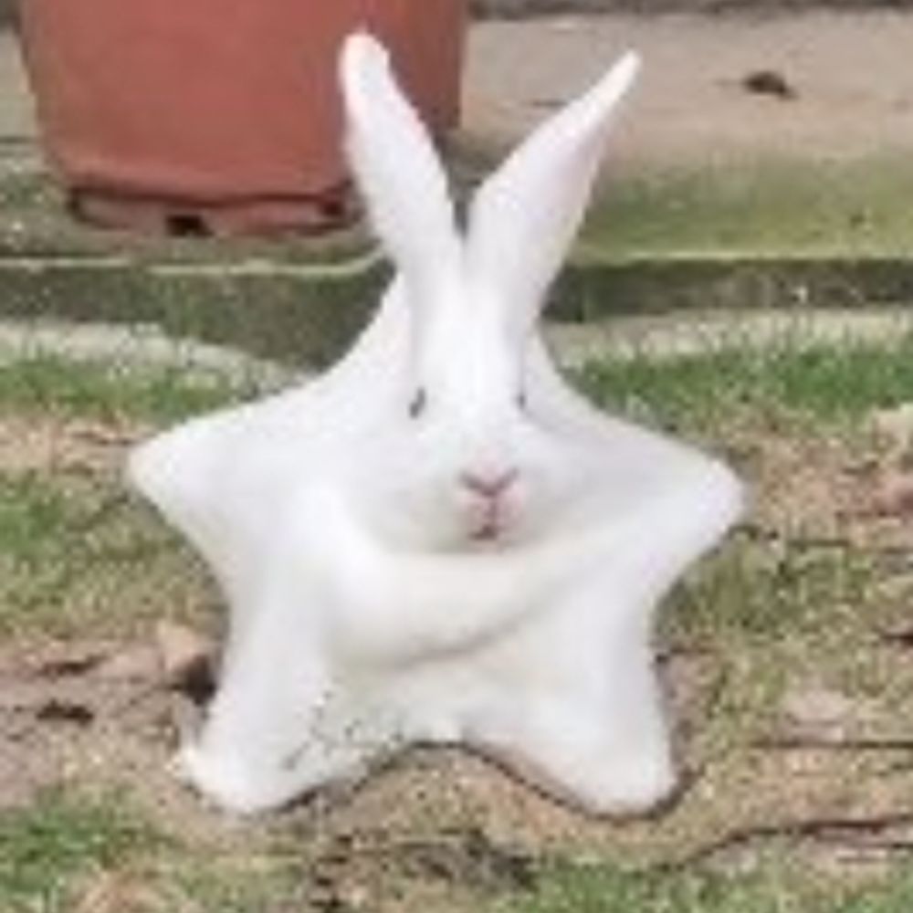 PD/Kupah :3