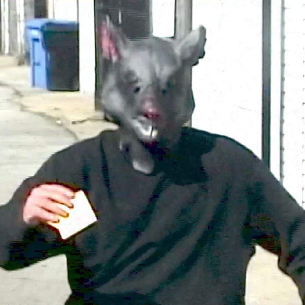 🐀 rat who throws cheese at you 🧀's Avatar