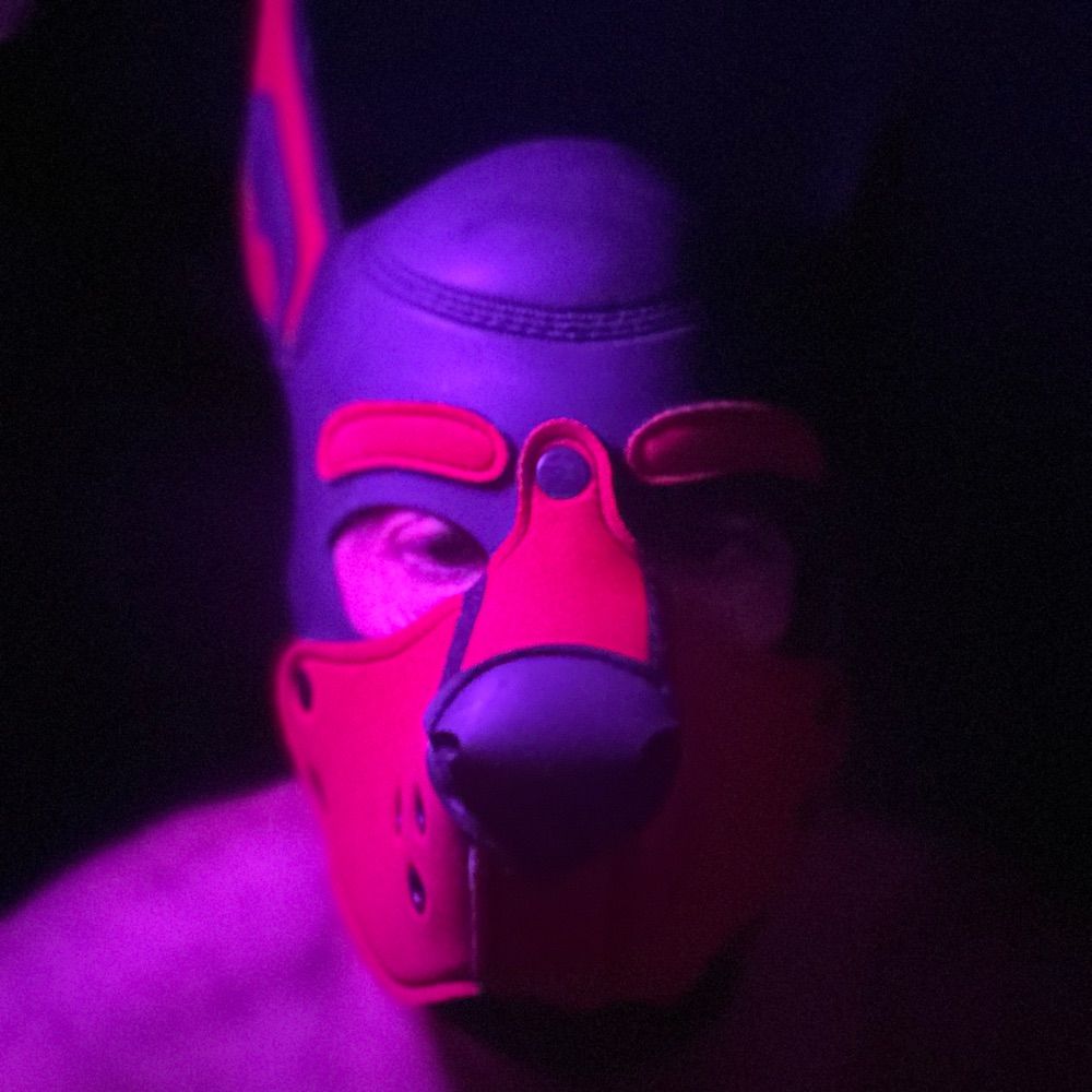 Pup Daddy