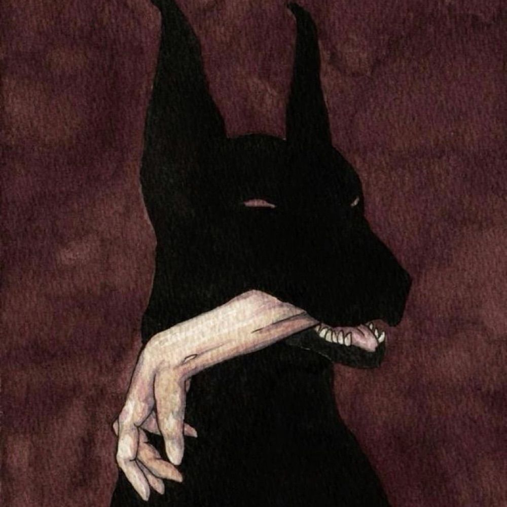coyote
