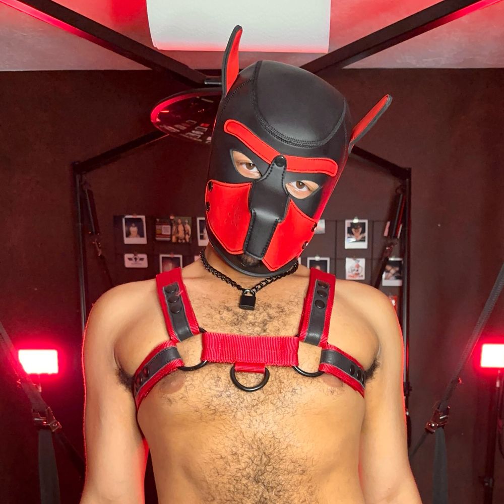 Pup Sage