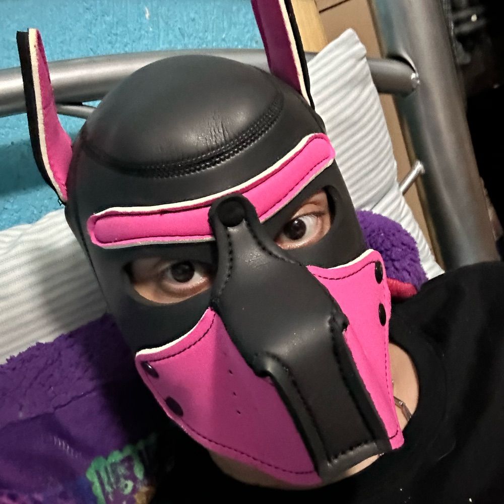 Pup Saix