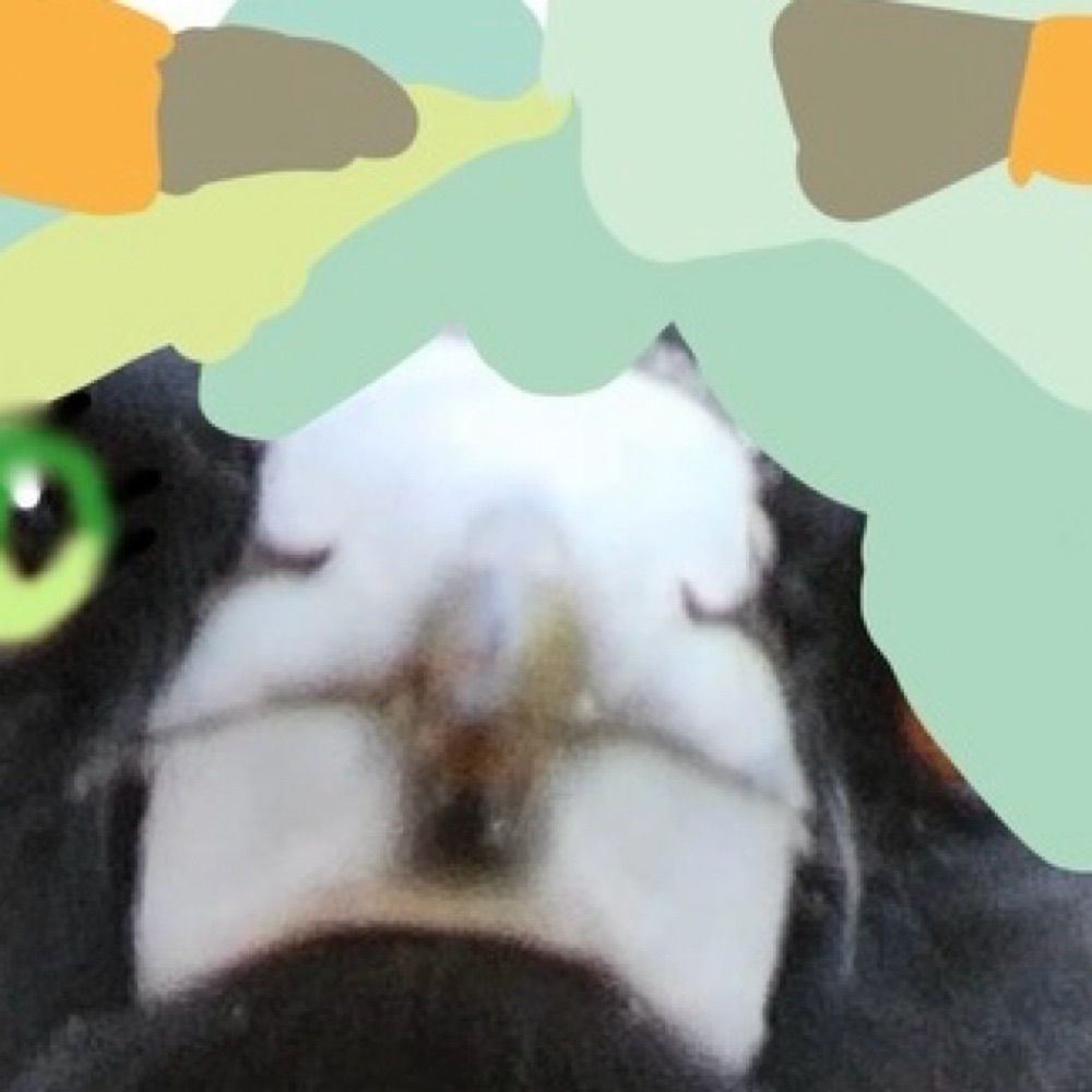 juniper :/