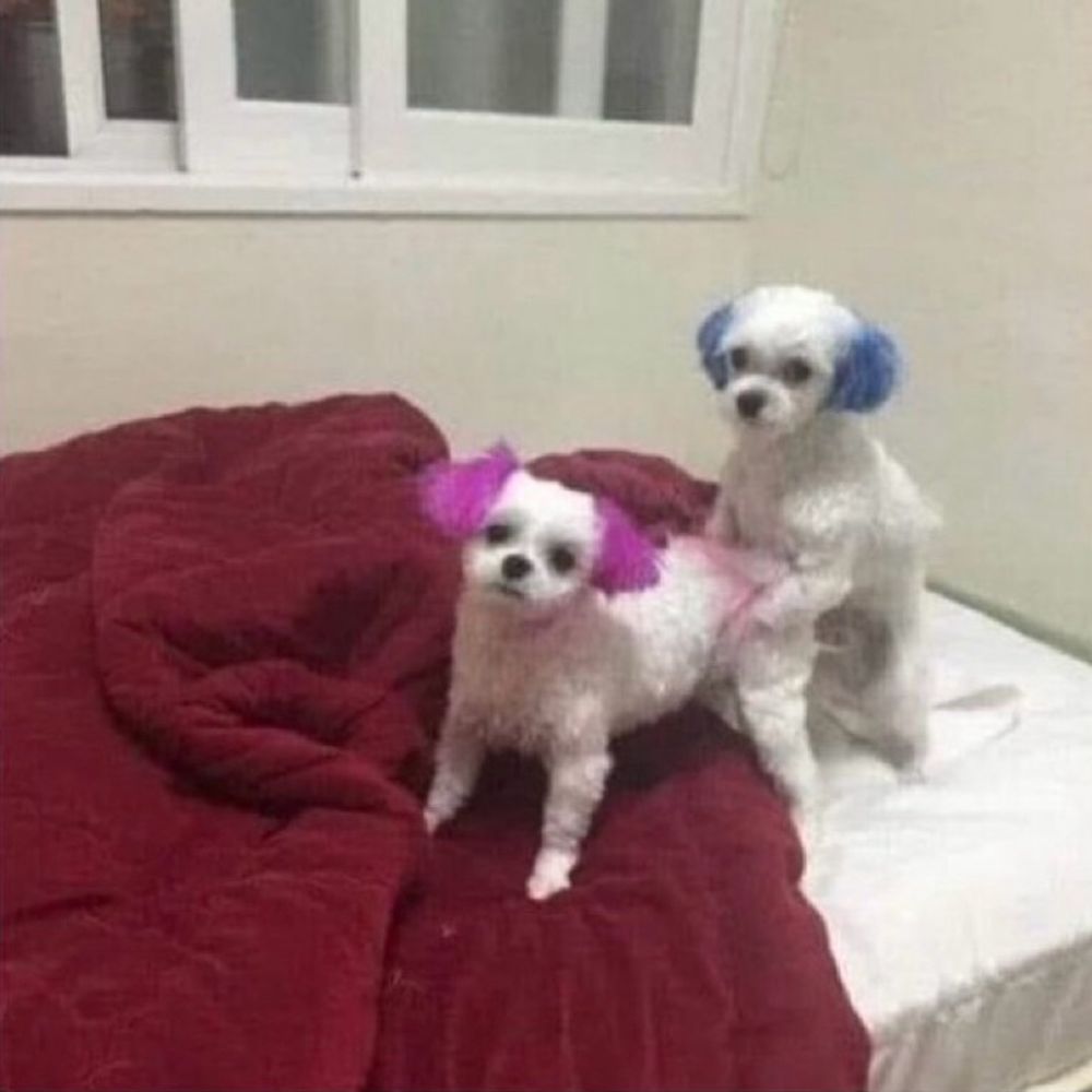 기재