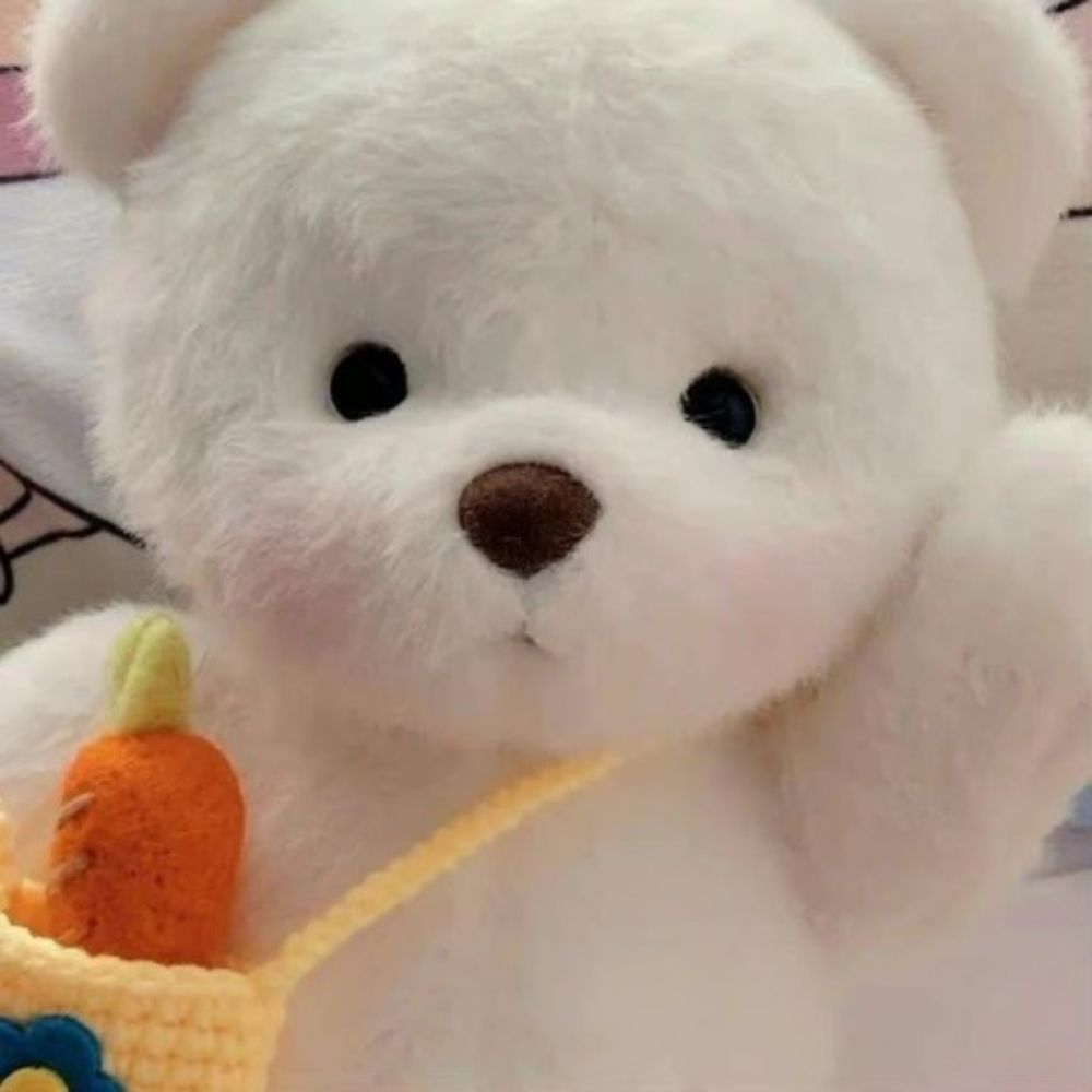 코코🐻