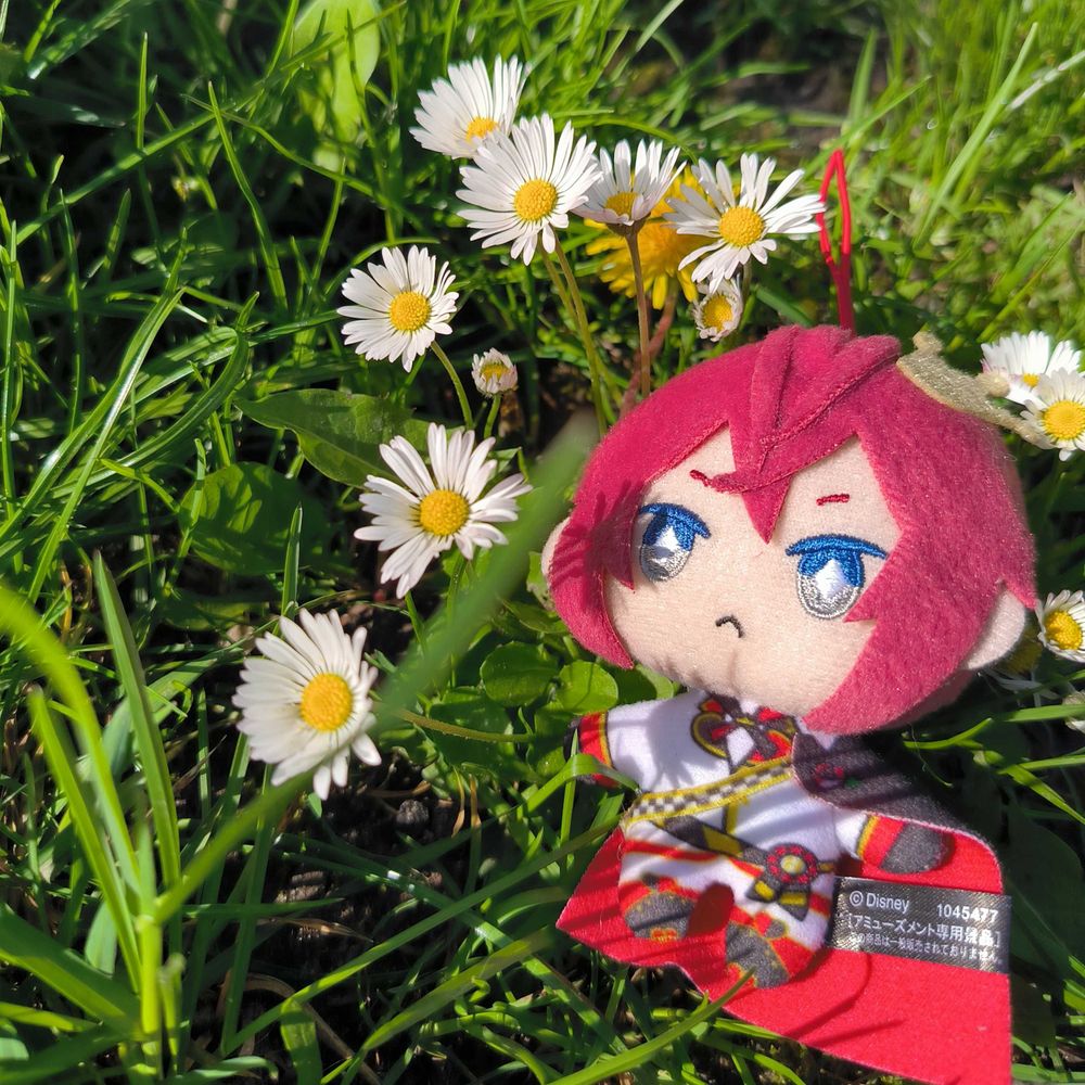 черешнева квіточка🌸