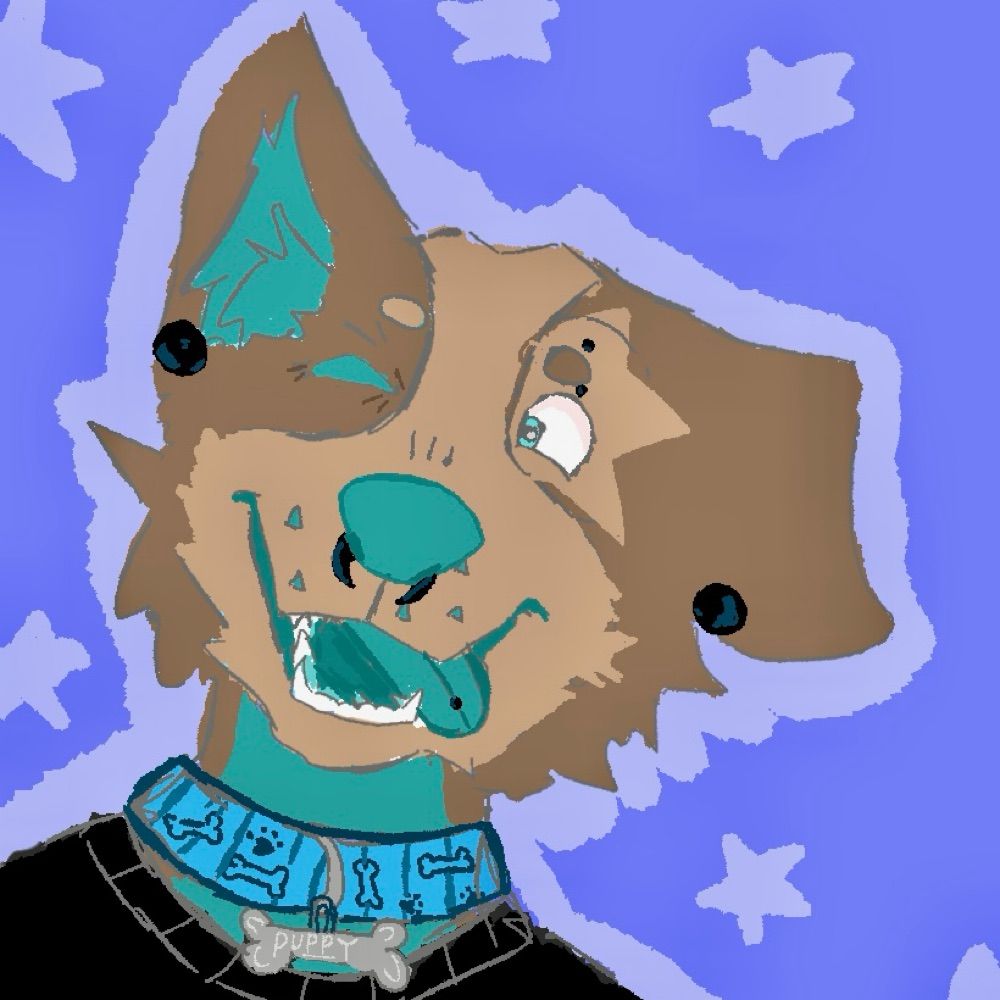 PuppyBoyAsh🐾