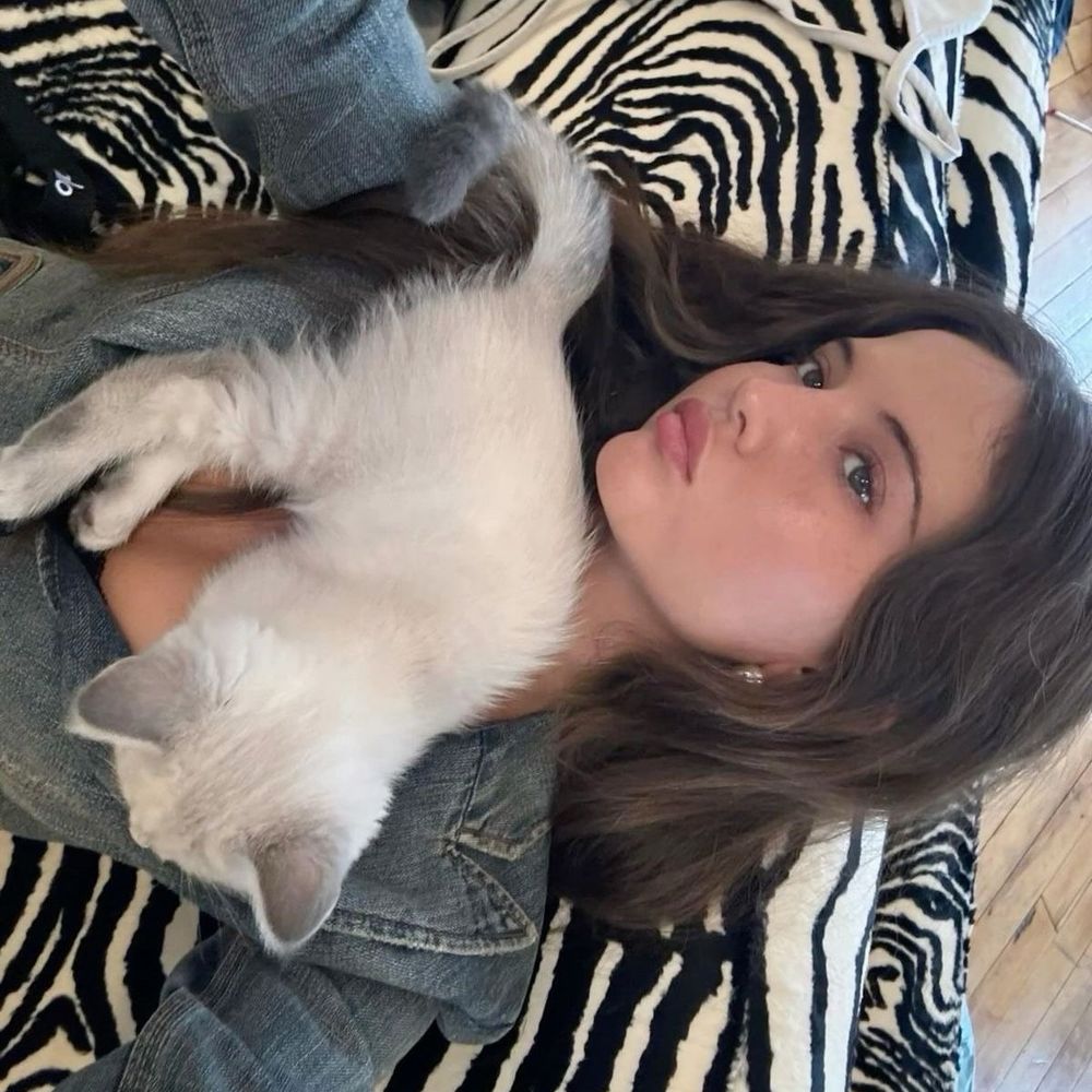 cami