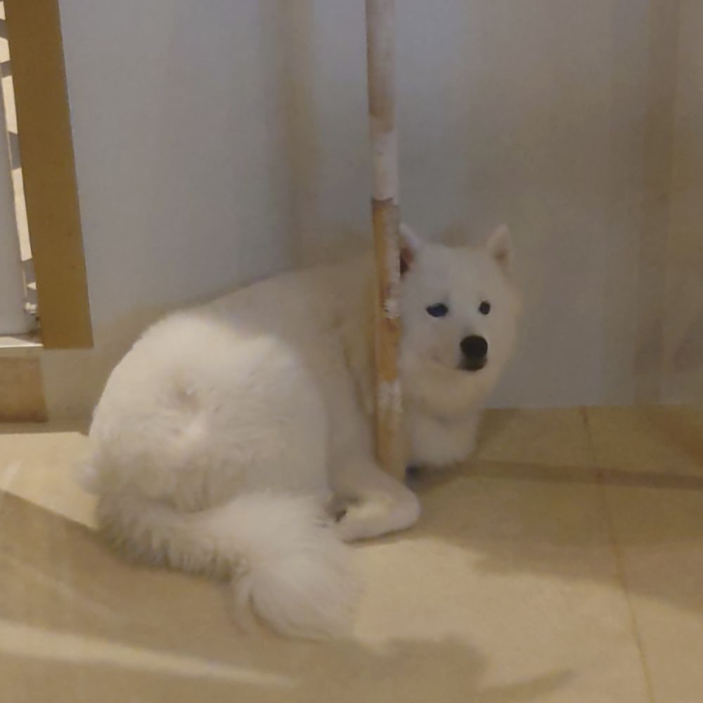 まる