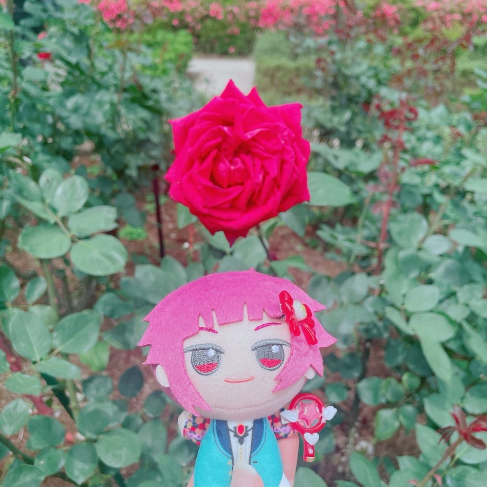 み