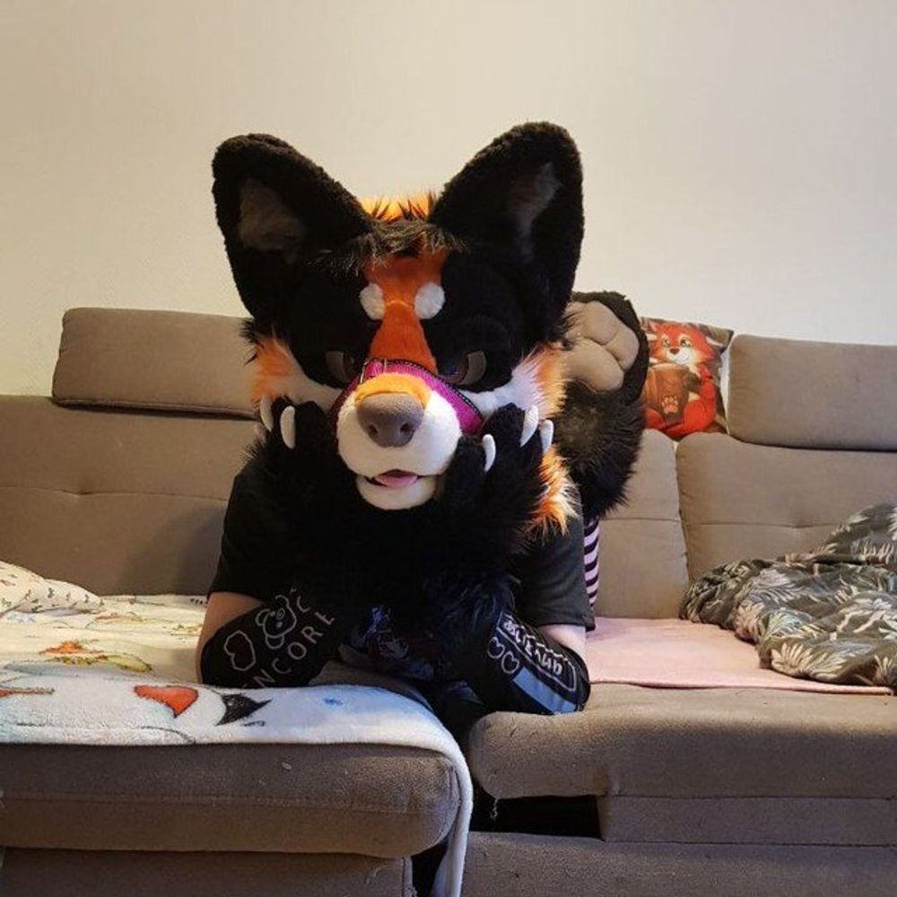 Skypaws