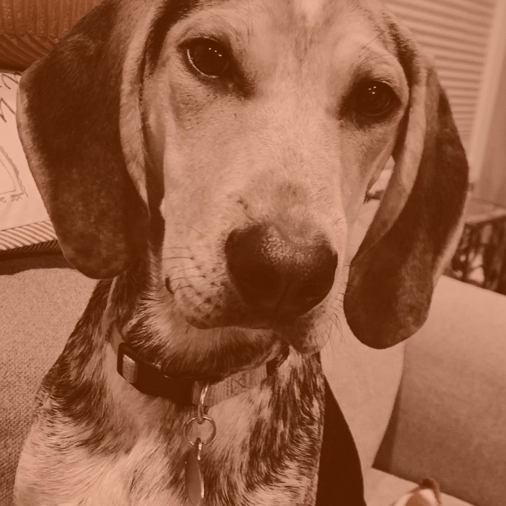 Roy, Esq.