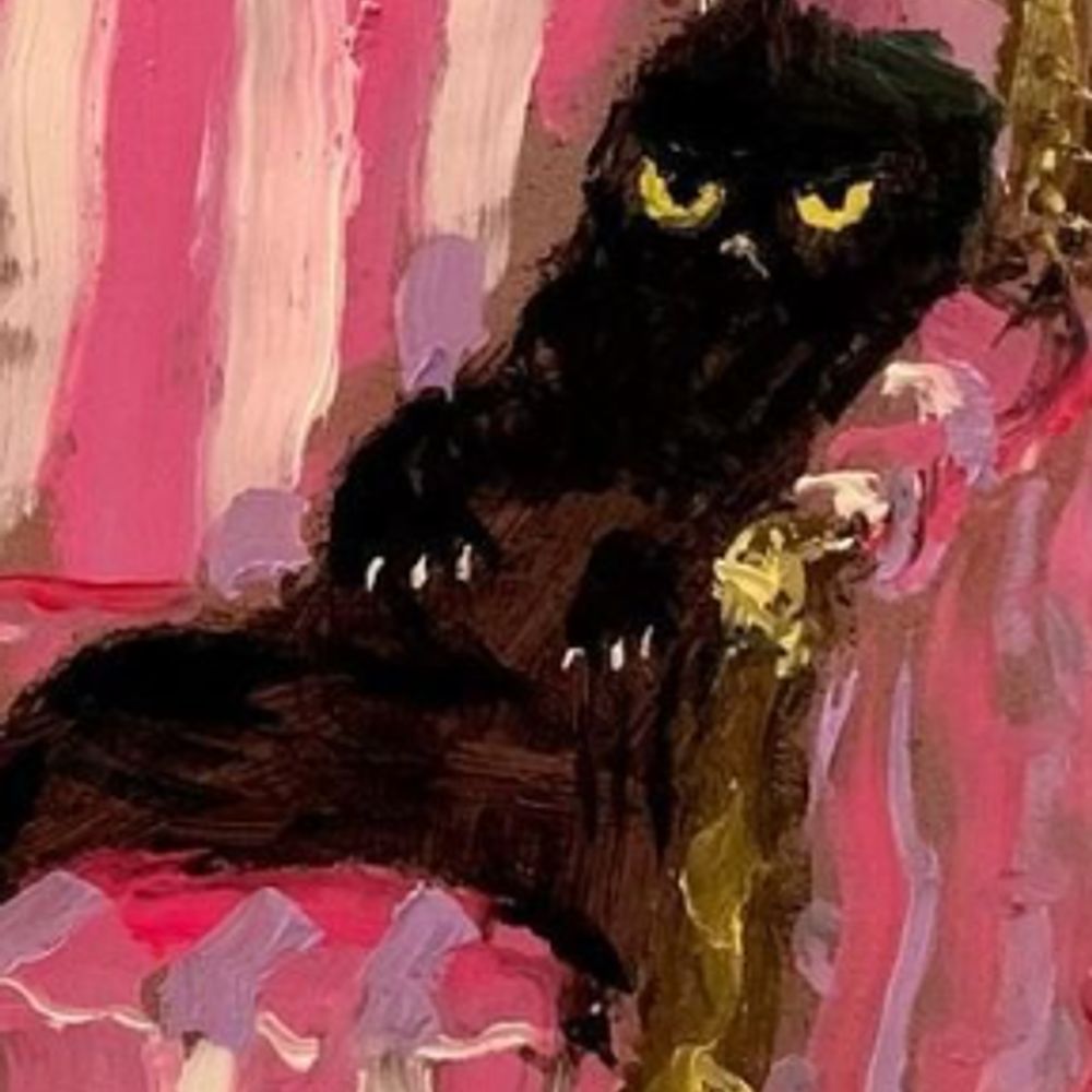 Mauser T. Catte