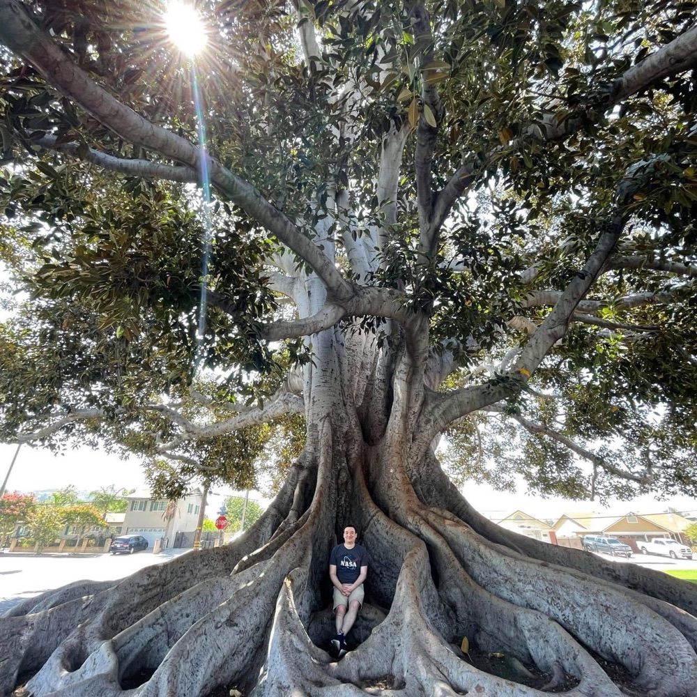 Matt Dalto