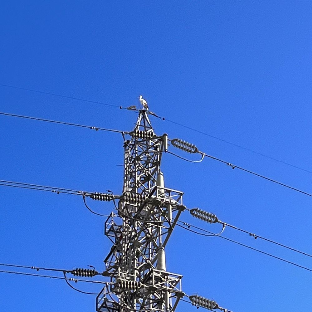 舳野
