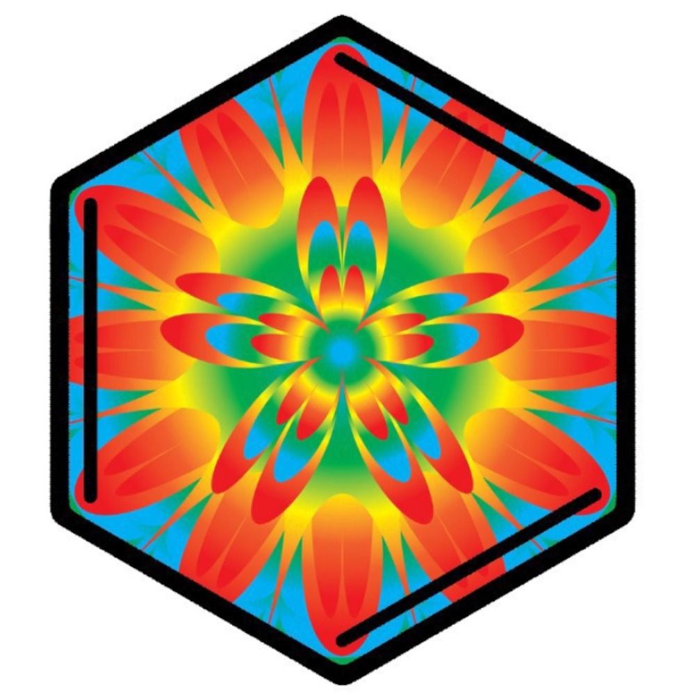 The Trip Report