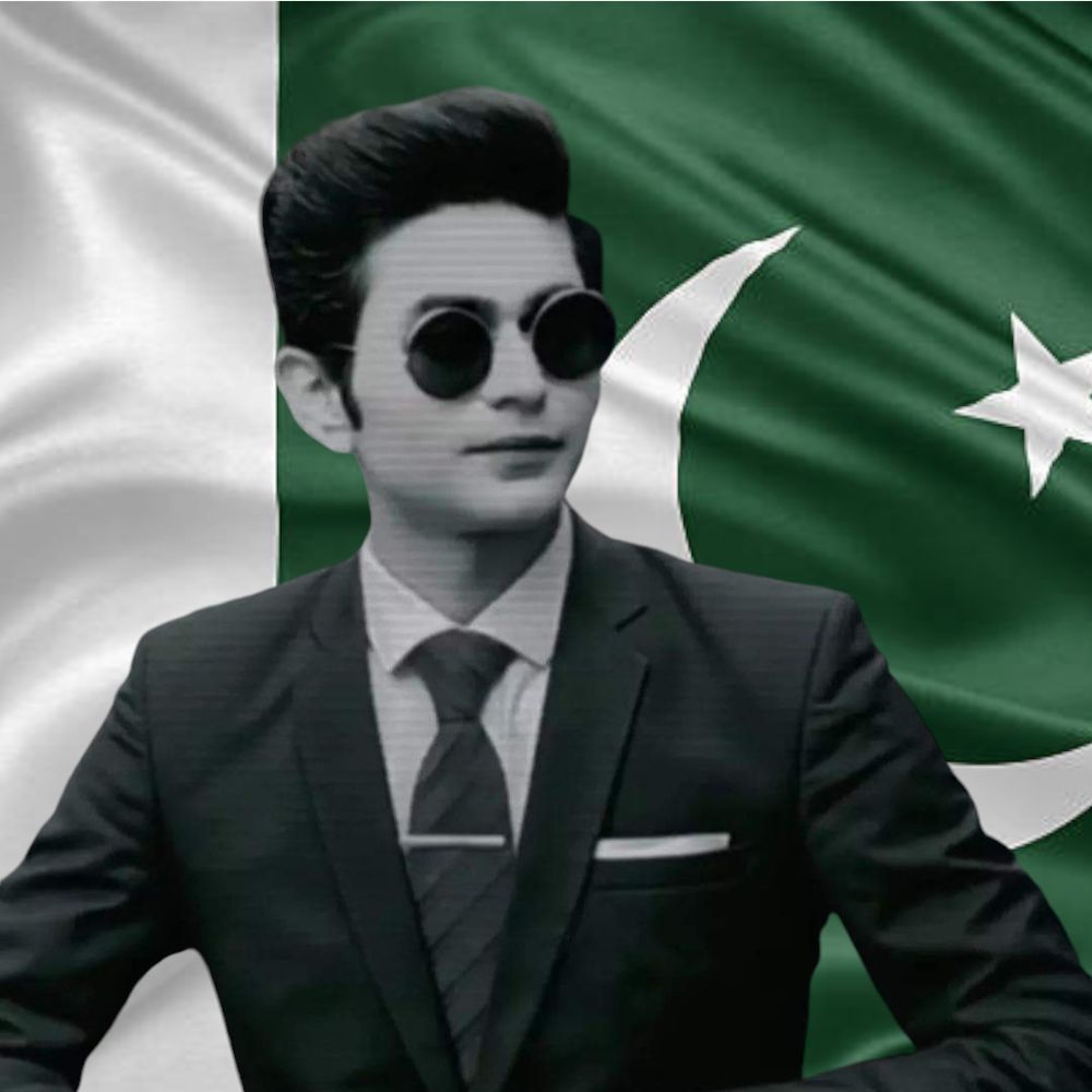 Muhammad Hamza Ali Bhatti 