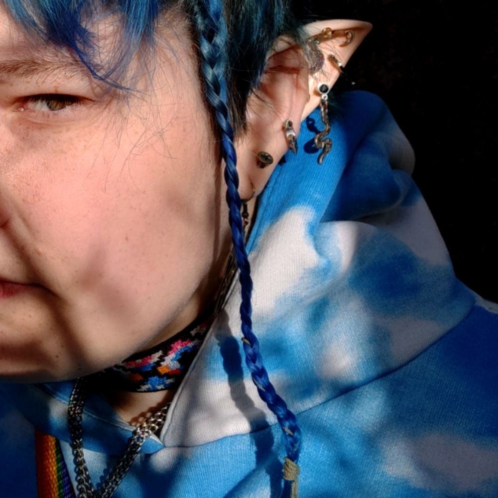 vārnis
