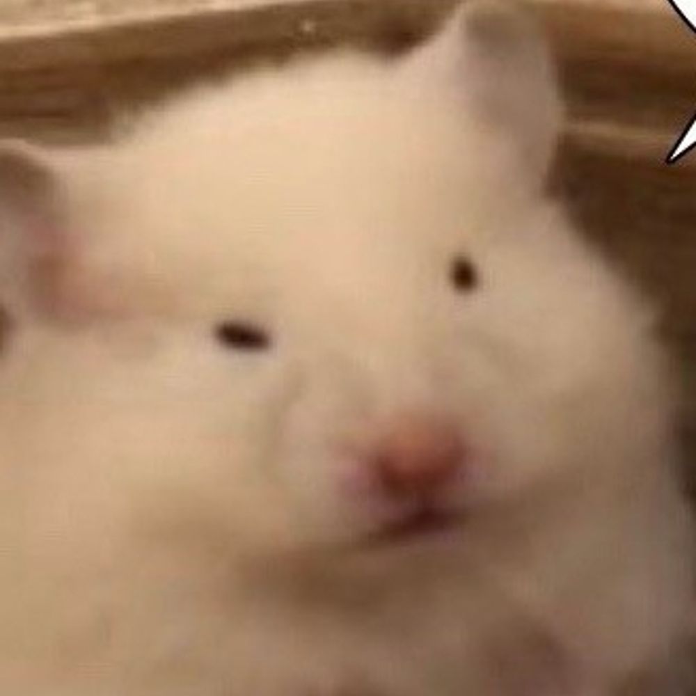 멤분