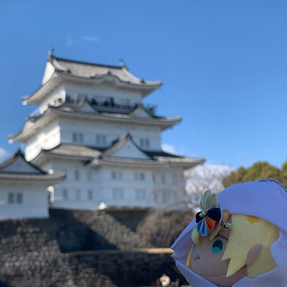 ぱる